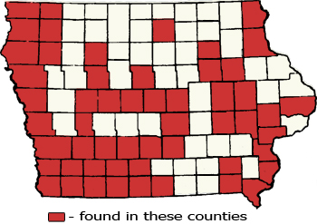 Counties Map