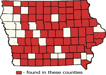 Counties Map