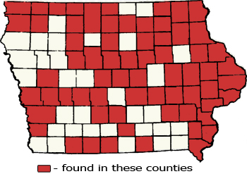 Counties Map