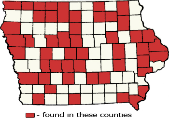 Counties Map