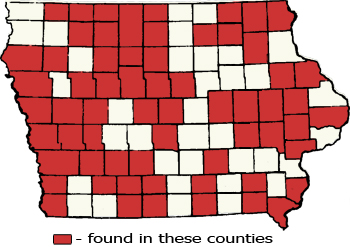 Counties Map