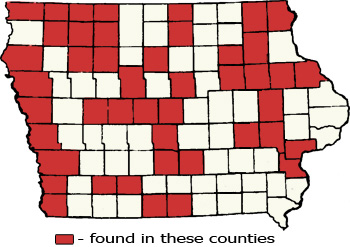 Counties Map