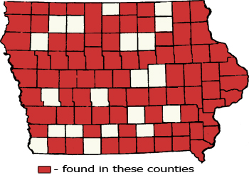 Counties Map