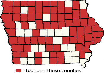 Counties Map