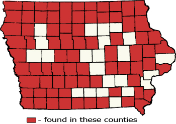 Counties Map