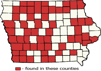 Counties Map