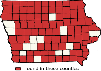 Counties Map