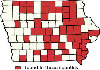 Counties Map