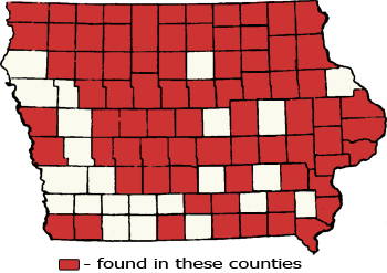 Counties Map