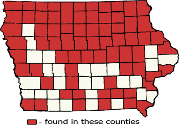 Counties Map