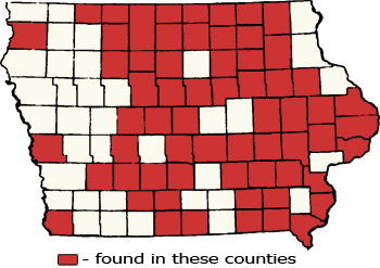 Counties Map