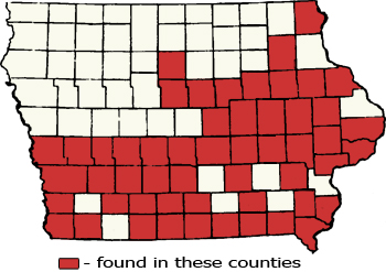 Counties Map