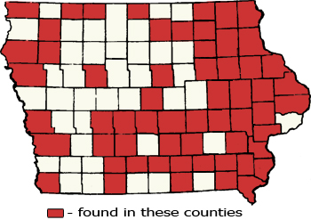 Counties Map