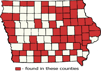 Counties Map