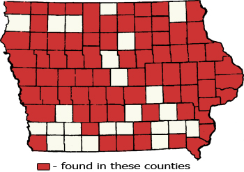 Counties Map