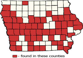 Counties Map