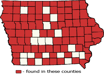 Counties Map