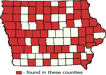 Counties Map