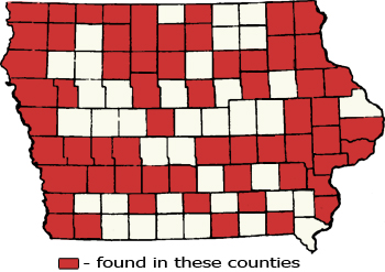 Counties Map