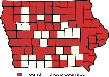 Counties Map