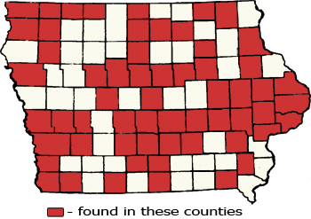 Counties Map