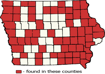 Counties Map