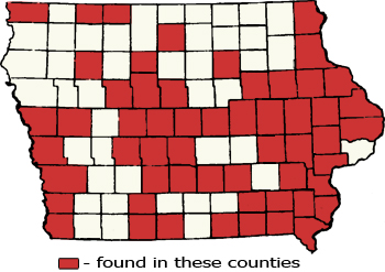 Counties Map