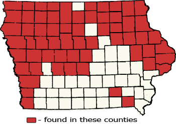 Counties Map