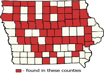 Counties Map