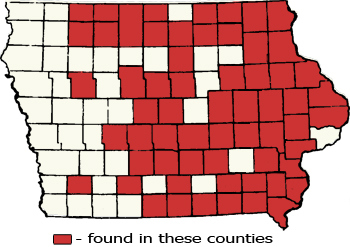 Counties Map