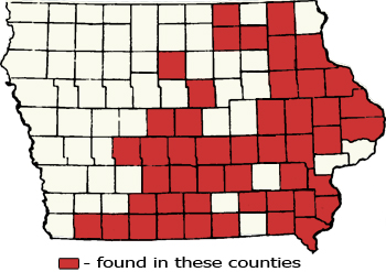 Counties Map