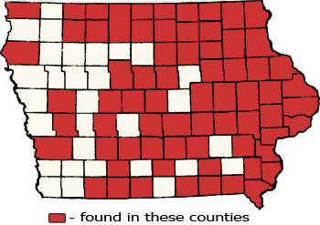 Counties Map