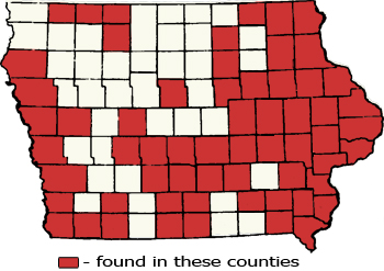 Counties Map