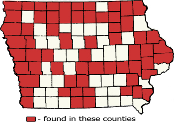 Counties Map