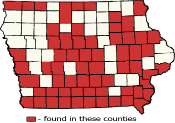 Counties Map