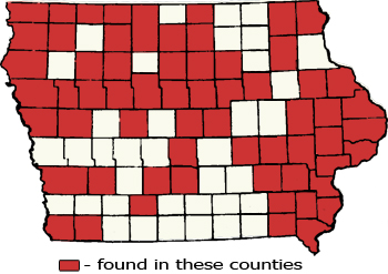 Counties Map