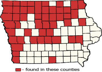 Counties Map