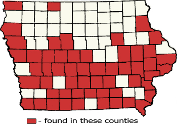 Counties Map