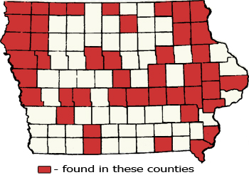 Counties Map