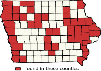 Counties Map