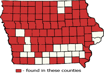 Counties Map