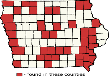 Counties Map