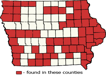 Counties Map