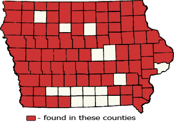 Counties Map