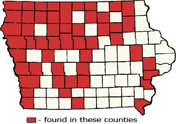 Counties Map