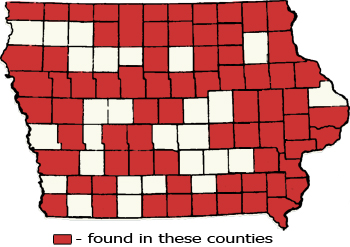 Counties Map