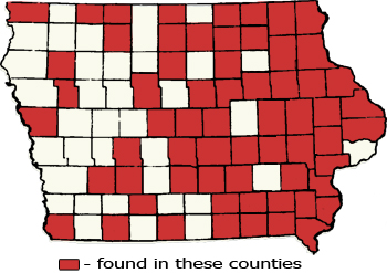 Counties Map