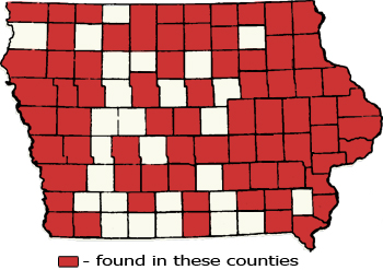 Counties Map