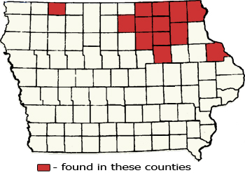 Counties Map