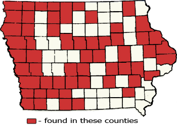 Counties Map